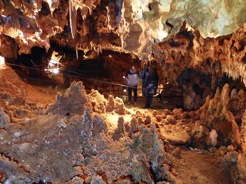 Aven Grotte Forestière. Visitez Autrement