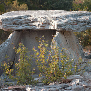 dolmen-du-bois-des-geantes-foret-de-laoul-ardeche
