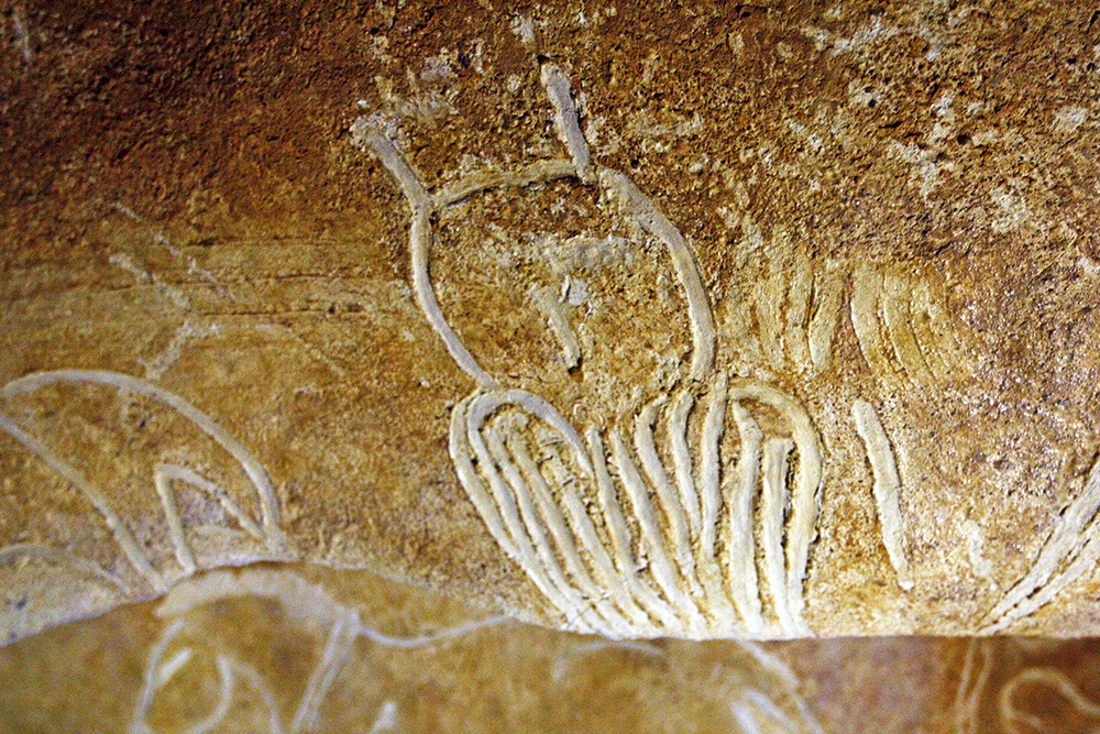 hibou-grotte-chauvet