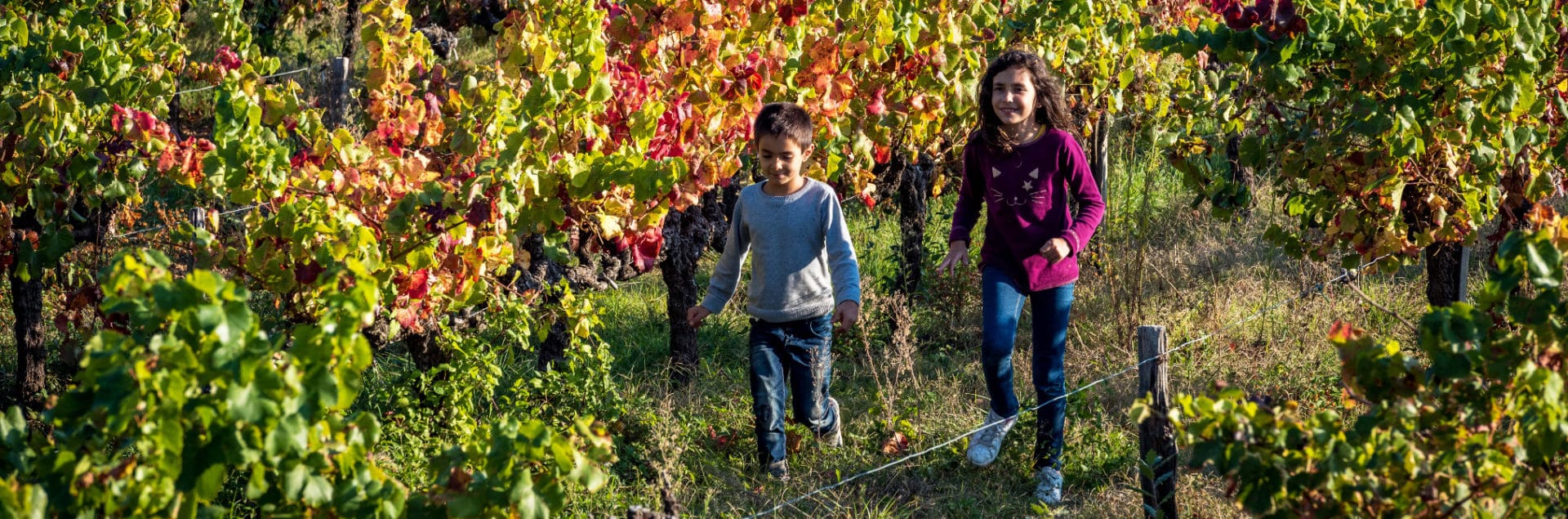enfants vignes sud ardèche©Frederic Mortain